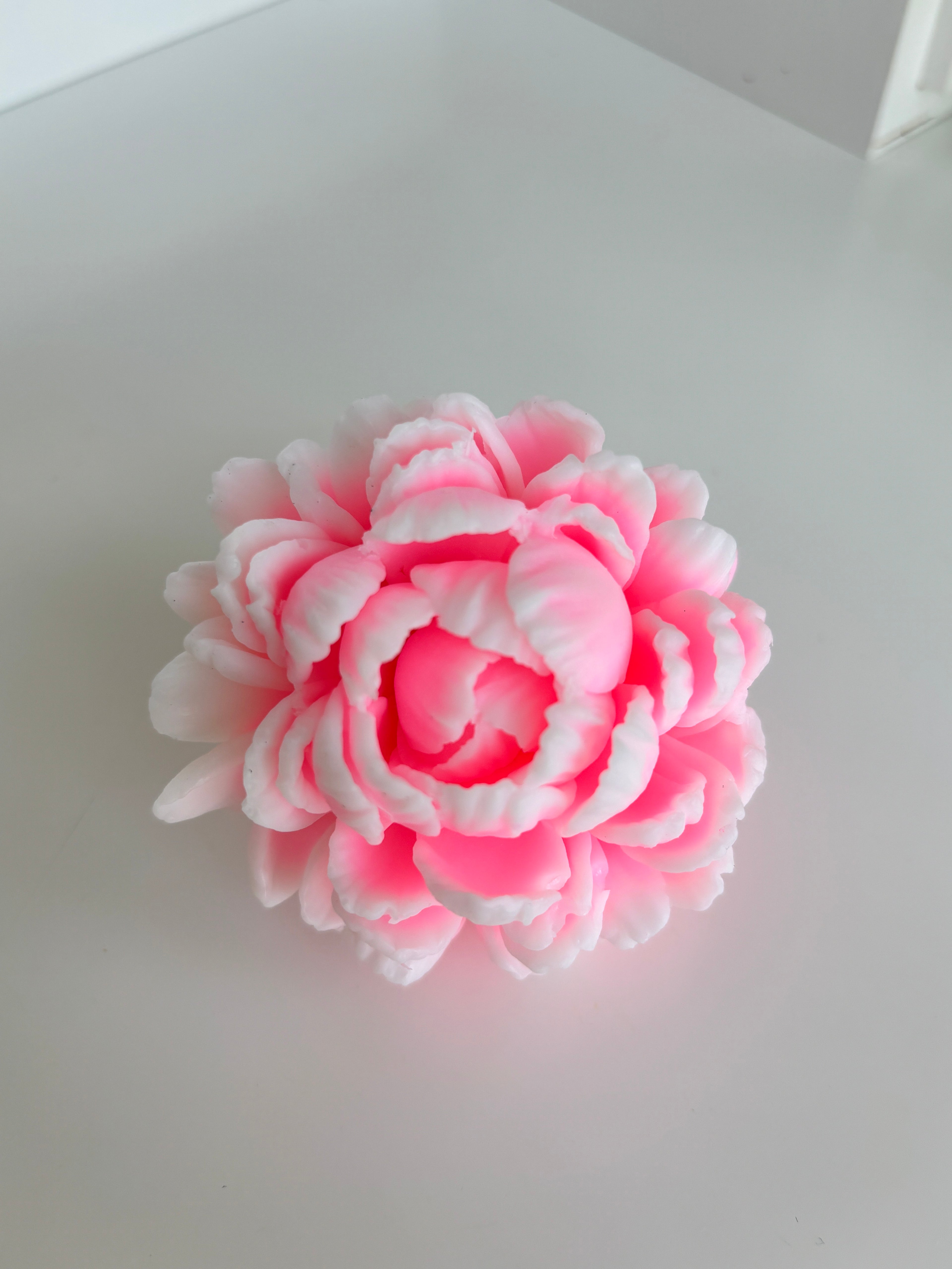 Königlicher Pfingstrose